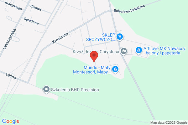 Kruk Dariusz. Transport krajowy i miedzynarodowy