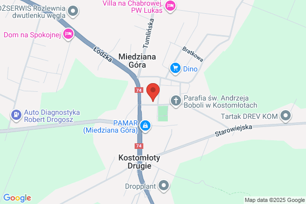 Kurp Miron. Mechanika samochodowa