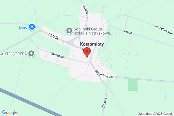 Stokrotka. Kwiaciarnia. Detka K