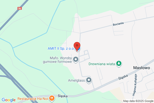 Amit. Spedycja, transport miedzynarodowy i krajowy. Mikolajczyk Z.
