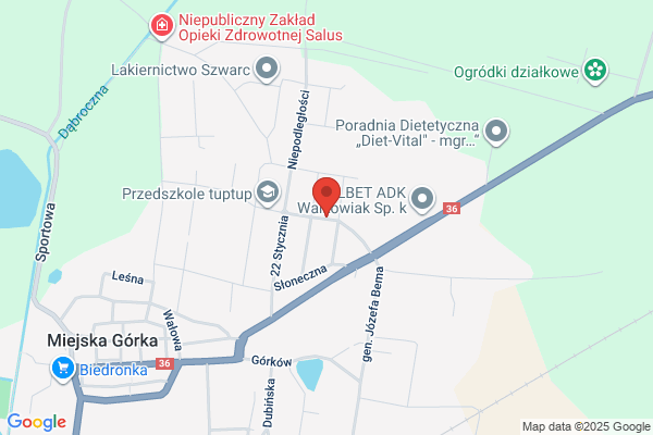 Baluniak R. Firma uslugowo - handlowa
