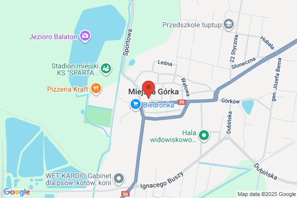 Bank Spóldzielczy we Wschowie. Oddzial