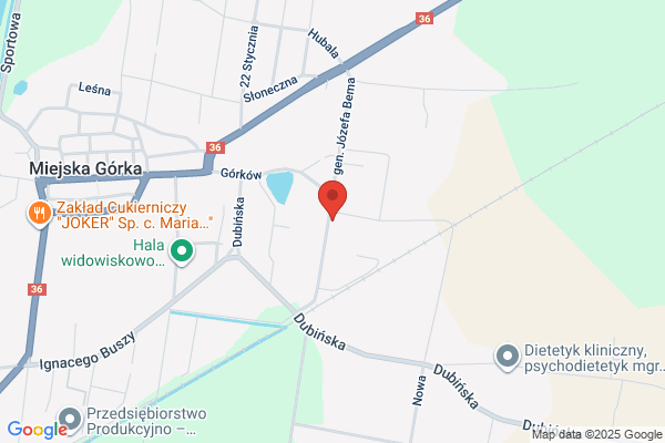 Bolundz Marlena. Uslugi finansowe
