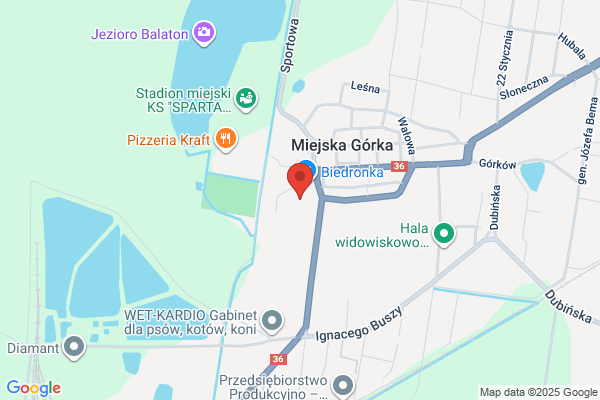 Folmas. Sklep miesny