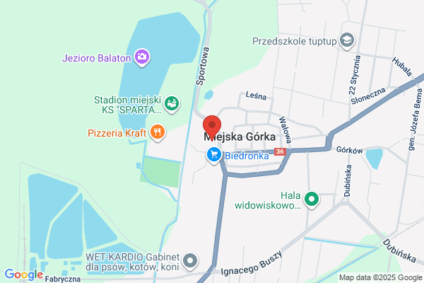 Niepubliczny Zaklad Opieki Zdrowotnej