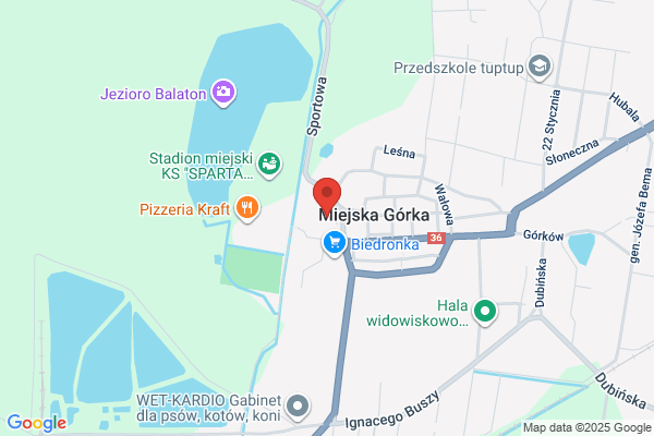 Ochotnicza Straz Pozarna