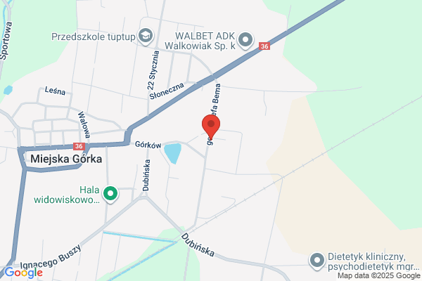 Rymet. PW. Slusarstwo, spawanie, konstrukcje stalowe. Rydzynski R.