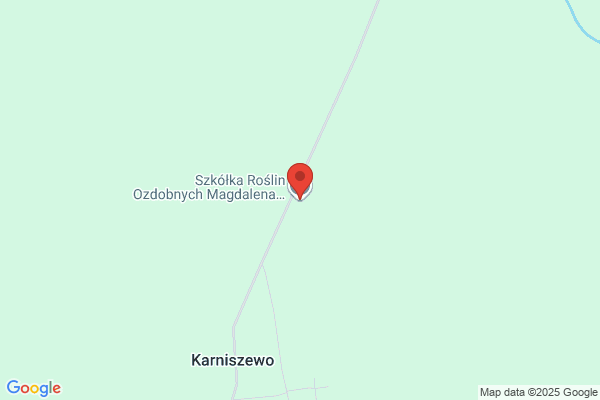 Amilac. Cholewiak K.
