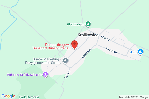 Autoboban. Transport miedzynarodowy, pomoc drogowa, mechanika pojazdowa. Chrzanowski R.