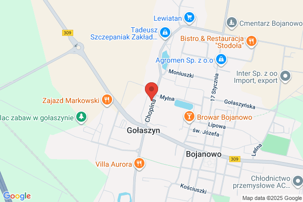 Górny Roman. Uslugi informatyczne