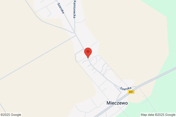 Jackowiak Janusz. Transport samochodowy