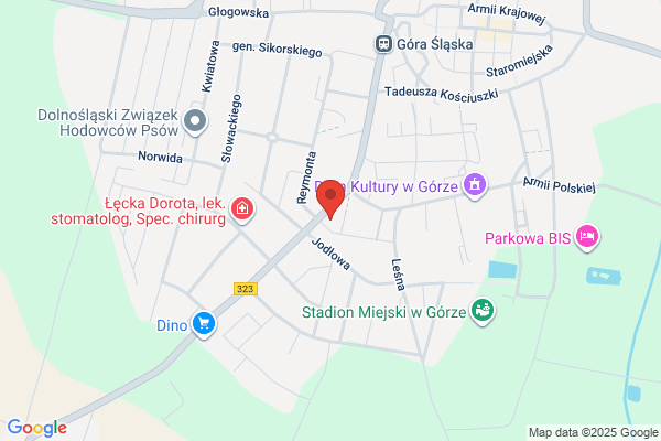 Nowak Ewelina. Uslugi biurowe