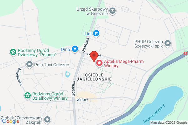 Piechocki Arkadiusz. Nauka jez. angielskiego i hiszpanskiego