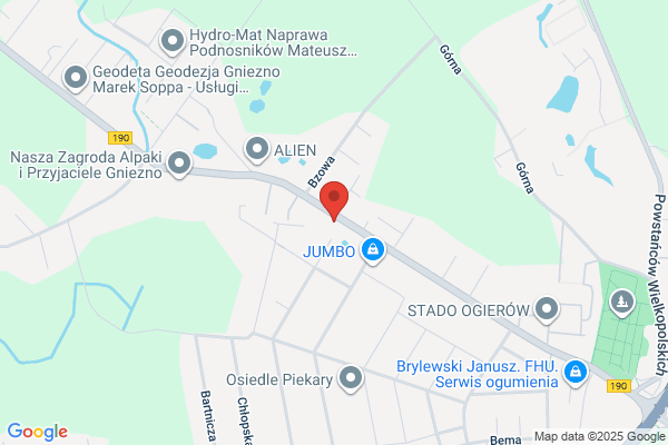 Ricotech. PW. Sprzedaz, naprawa i wypozyczanie kserokopiarek