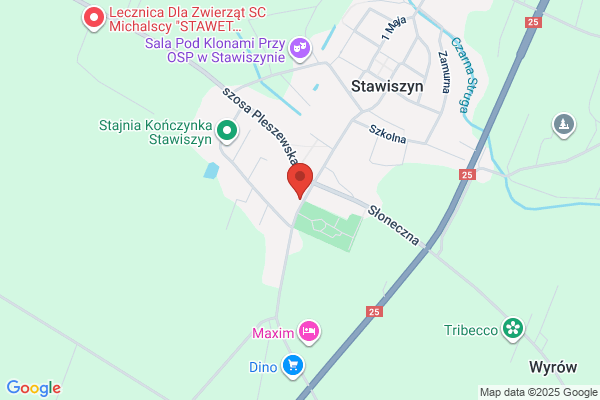 Stokrotka. Kwiaciarnia. Stachowska K.