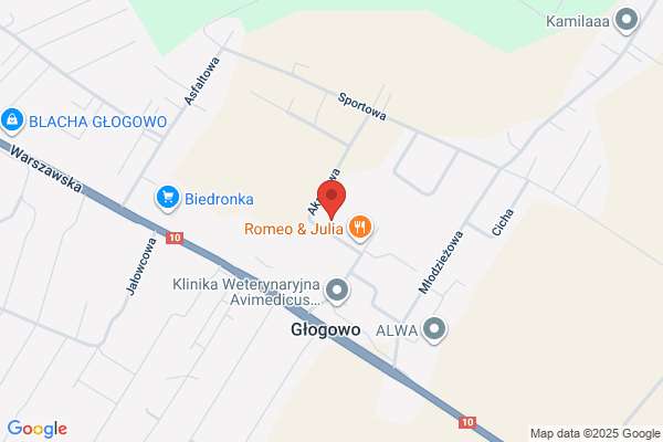 Ekochem. Sp. z o.o. Projektowanie przemyslowe, uslugi w ochronie srodowiska
