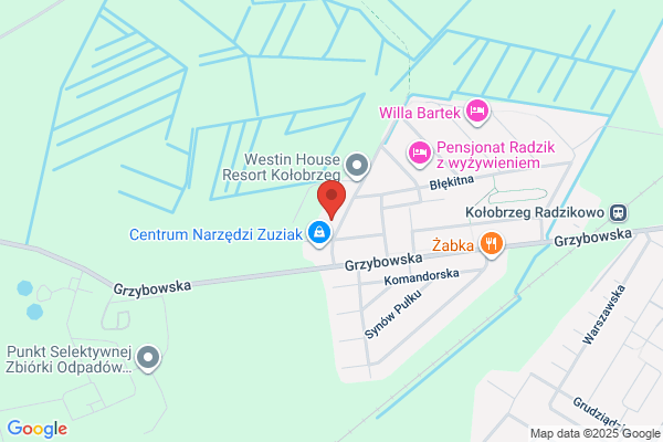 Kameleon. Sklep zoologiczny