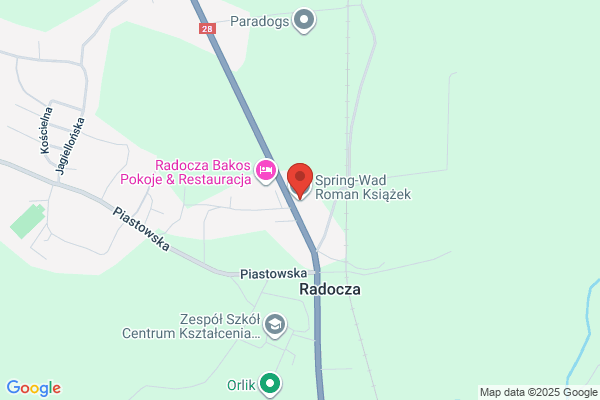 Springwal-Allsprings. Sprezyny, naprawa maszyn, prace budowlane. Walkowicz W.