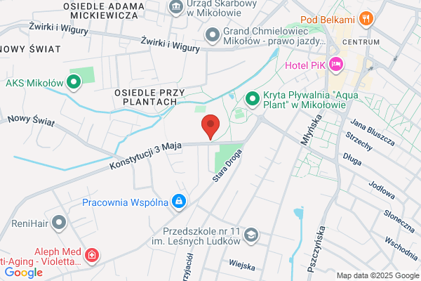 Mikolowski Powiatowy Klub Mlodziezowy Przy Stowarzyszeniu Powrót