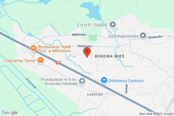 Gram. Zaklad naprawy i montazu wag