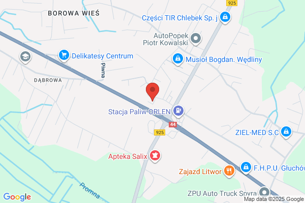 Wandalex. Wózki widlowe, przenosniki tasmowe