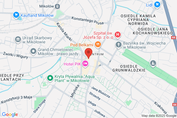 Michalska Anita. Pracownia protetyki stomatologicznej