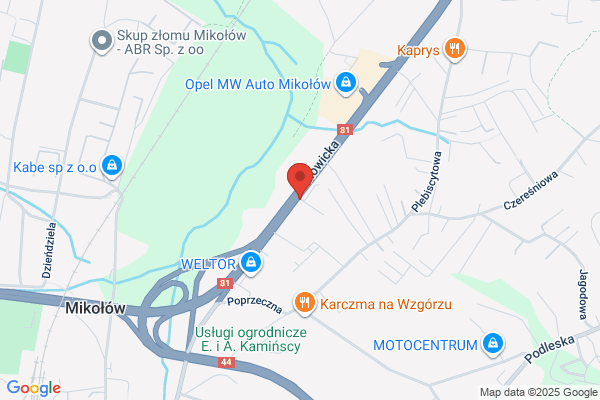 Klems Jerzy. Okladziny cierne do samochodów