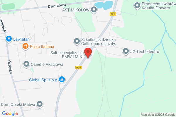 Salicki Krzysztof. Automechanika