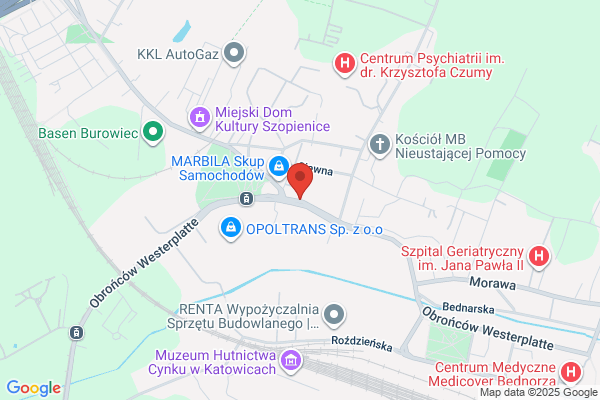 Witmer SC. Bujoczek T., Kolodziej D.