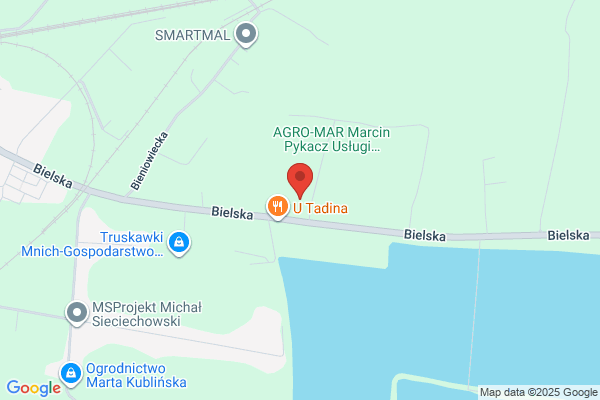 Agro-Mar. Zaklad projektowania, urzadzania i utrzymania terenów zieleni. Wycinka i pielegnacja drzew