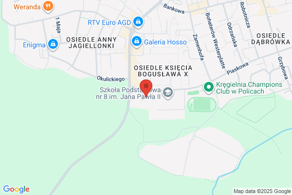 Profi. Biuro tlumaczen jez. niemieckiego. Fortuniak W., mgr inz.