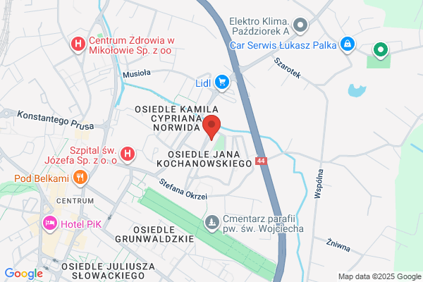 Swiderska Beata. Uslugi przewozowe