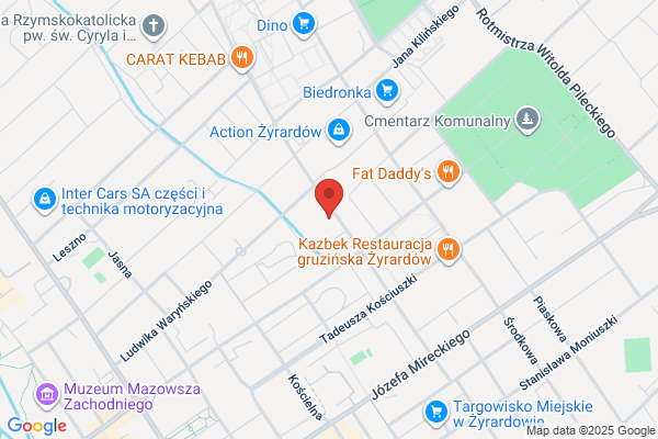 Strojek Piotr. Uslugi geodezyjne i kartograficzne