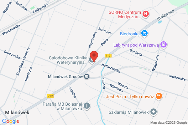 Midentist Urszula Kotarbińska
