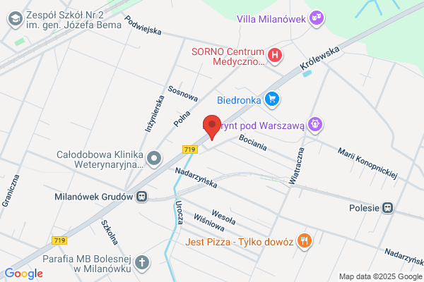 Eduo Studio Marketingu i Reklamy