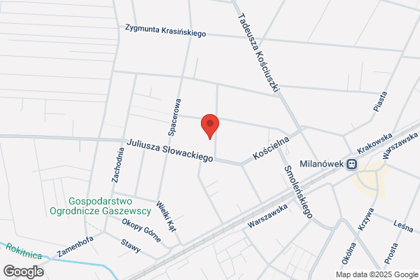 Olszewski Zbigniew. Toczenie w drewnie