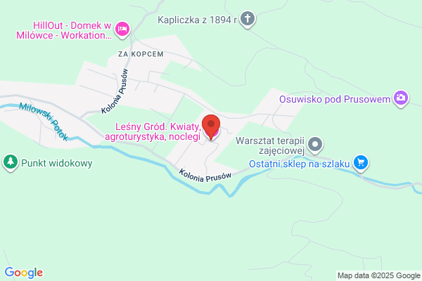 Lesny Gród. Kwiaty, agroturystyka, noclegi