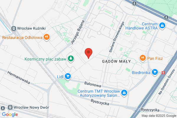 Feil Andrzej. Maszynowe czyszczenie dywanów