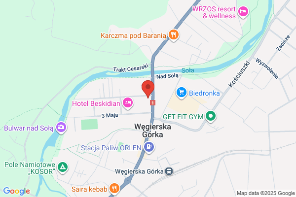 Lesnictwo Zielona