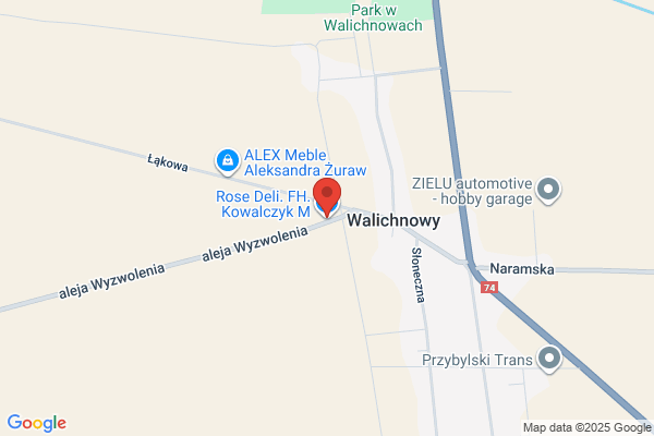 Delikatesy. Wilkosz E.