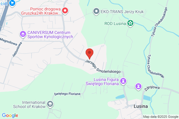 Uslugi transportowo-sprzetowe. Jaworski T.