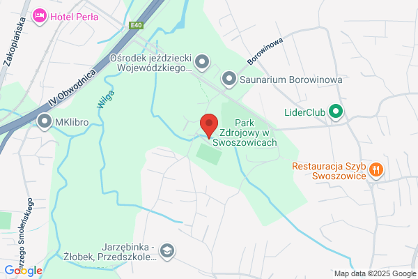 Krakus. Wojewódzki Ludowy Klub Sportowy