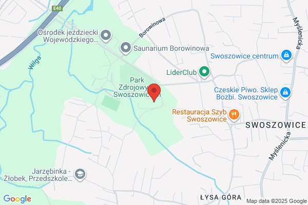 Parkowa. Restauracja uzdrowisk krakowskich