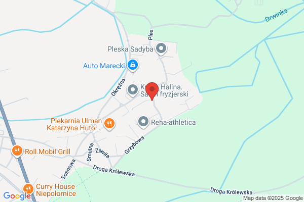 Lesnictwo Brzeziny. Nadlesnictwo Kielce