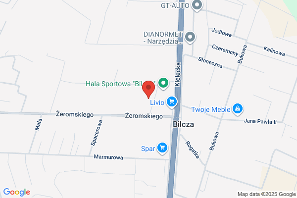 Lurzynski Robert. Uslugi transportowe krajowe