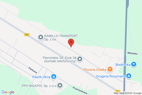 Wos Tomasz. Uslugi transportowe