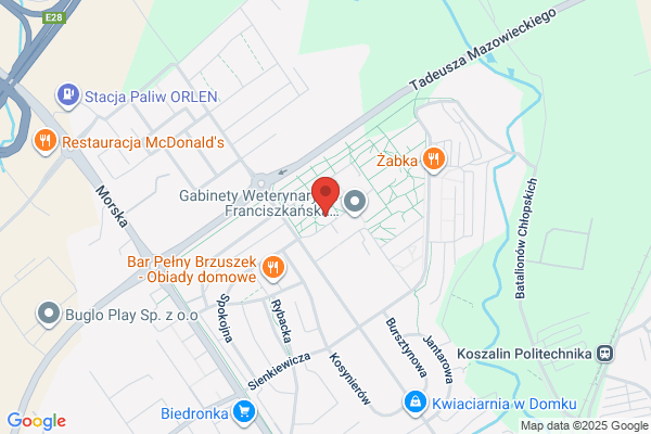 Agata. Zaklad krawiecki. Zielinska A.