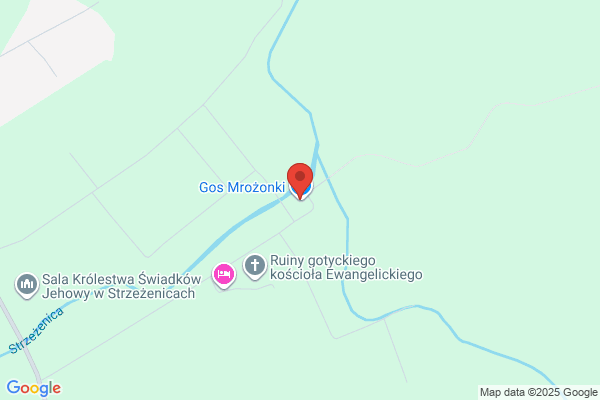 Naszydlowski Zbigniew. Produkcja zywnosci mrozonej