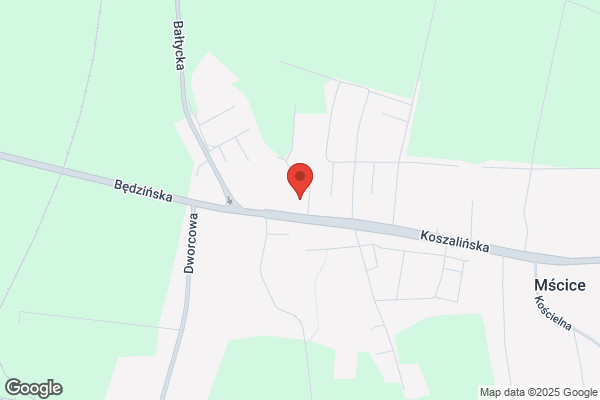Posejdon. Hurtownia art. dekoracyjnych i muszli. Kaliszewski J.