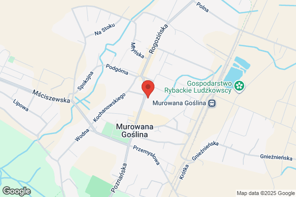 Szkolna. Ksiegarnia. Sydor S.
